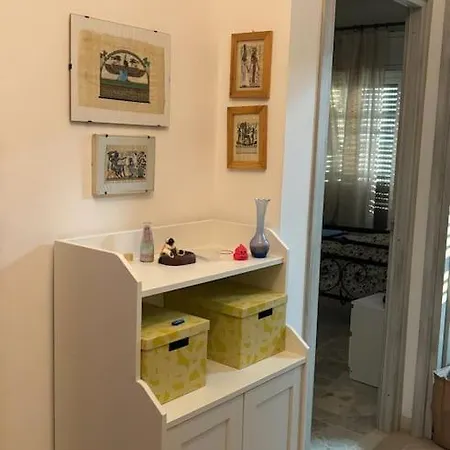 3 Civette Sul Campo Jemini